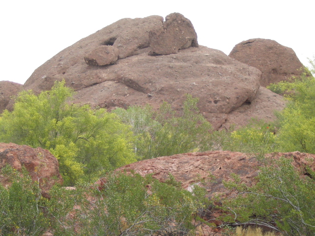 618x457 pixels (204K)